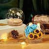 2 Sets High Borosilicate Glass Dome Cover DJEW-NB0001-19-2