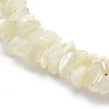 Natural White Moonstone Beads Strands G-P332-01-3