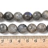 Natural Labradorite Beads Strands G-L642-F07-12mm-5