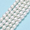 Natural Cultured Freshwater Pearl Beads Strands PEAR-J006-17E-01-2