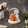 Glass Dome Cover AJEW-WH0752-088B-4