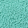 MIYUKI Delica Beads SEED-J020-DB2122-2