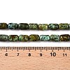Natural African Turquoise(Jasper) Beads Strands G-G980-33B-5
