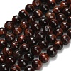 Natural Tiger Eye Beads Strands G-F591-18-8mm-07-3