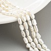 Natural Keshi Pearl Cultured Freshwater Pearl Beads Strands PEAR-P062-33-1