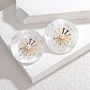 304 Stainless Steel ABS Imitation Pearl Stud Earrings for Women EJEW-M095-06G-02-1