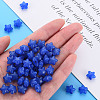 Transparent Acrylic Beads MACR-S373-26E-03-5