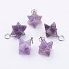 Natural Amethyst Pendants G-E398-01B-2