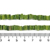 Handmade Lampwork Beads Strands LAMP-Q037-02B-10-4