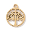 304 Stainless Steel Charms STAS-K286-01D-G-1