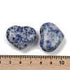 Heart Natural Blue Spot Jasper Palm Stones G-C186-02J-3