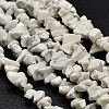 Chip Natural Howlite Beads Strands G-N0134-11-1