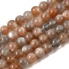 Natural Grey Moonstone Beads Strands G-F632-24-02-01-4