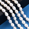 Natural Cultured Freshwater Pearl Beads Strands PEAR-N012-05M-6