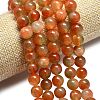 Natural Malaysia Jade Beads Strands G-L645-C01-14mm-29-3