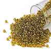TOHO 8/0 Round Beads SEED-TR08-2155S-1
