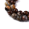 Natural Mexico Crazy Agate Beads Strands X-G-L615-A01-02-6