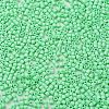 Baking Paint Glass Seed Beads X-SEED-S042-05B-59-3