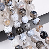 Dyed & Heated Natural Fire Crackle Agate Beads Strands G-N359-01A-03-1