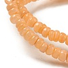 Dyed Natural Freshwater Shell Beads Strands BSHE-G039-07A-3