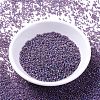 MIYUKI Delica Beads X-SEED-J020-DB0869-2