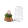 Natural Rose Quartz Mushroom Display Decoration with Glass Dome Cloche Cover G-E588-03J-4