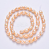 Natural Cultured Freshwater Pearl Beads Strands PEAR-T001-06B-3