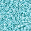 Glass Seed Beads SEED-A011-3mm-154-3