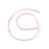 Natural Freshwater Shell Dyed Beads Strands X-SHEL-M018-12-09-2