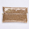 Glass Seed Beads SEED-S042-04B-07-5