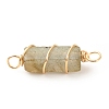 Natural Labradorite Connector Charms PALLOY-JF01580-01-3