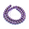 Natural Lepidolite/Purple Mica Stone Beads Strands G-L552H-09C-3