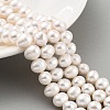 Natural Cultured Freshwater Pearl Beads Strands PEAR-C003-16B-1
