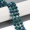 Natural Sesame Jasper Dyed Beads Strands G-H057-A21-08-2