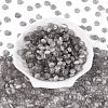 FGB Grade A Drawbench Style Glass Seed Beads SEED-Q040-02A-19-1