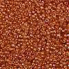 TOHO Round Seed Beads X-SEED-TR11-0388-2