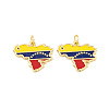 Rack Plating Brass Enamel Pendants KK-P269-07G-1