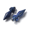 Dyed Natural Lapis Lazuli Pendants G-C187-03B-2