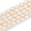 Natural Cultured Freshwater Pearl Beads Strands PEAR-P064-20C-03A-2