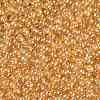 TOHO Round Seed Beads SEED-XTR11-0103B-2