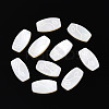 Natural White Shell Cabochons BSHE-T014-18-1