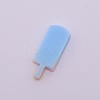 Resin Cabochons RESI-CJC0002-10A-2