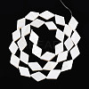 Natural Freshwater Shell Beads Strands SHEL-T020-13H-2