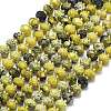 Natural Yellow Turquoise(Jasper) Beads Strands G-P573-A56-01-2