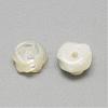 Natural White Shell Mother of Pearl Shell Cabochons SSHEL-R042-10-2