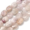 Natural Pink Morganite Beads Strands G-H335-N01-6x8mm-2