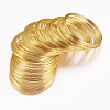 Steel Memory Wire TWIR-R006-0.6x60-G-NF-1