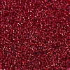 MIYUKI Delica Beads SEED-X0054-DB0602-3
