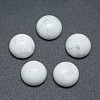 Natural Howlite Cabochons X-G-P393-R32-10mm-1