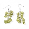 Dangle Earrings EJEW-E255-A11-1